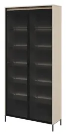 witryna-wysoka-przeszklona-trend-tr-07-piekna