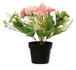 roslina-kwitnaca-z-doniczka-kwiat-dekoracyjny-24x18-cm