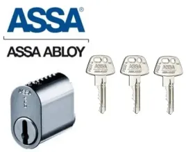 assa-p601-cylinder-owalny-skandynawski-zewnetrzny