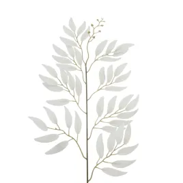 galazka-ruskus-12-szt-biala-sp
