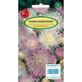 chaber-amerykanski-1-g-rozowy-perlowy-dlugo-kwitnie-nasiona-legutko