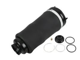 miech-zawieszenia-pneumatycznego-przod-mercedes-r-w251