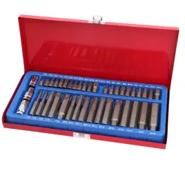 zestaw-kluczy-bitow-41-el-ne00193