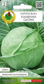 kapusta-kamienna-glowa-nasiona-pnos-pozna-nasiona-1-g