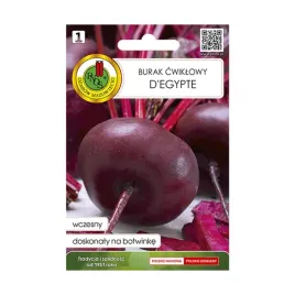 burak-cwiklowy-degypte-nasiona-pnos