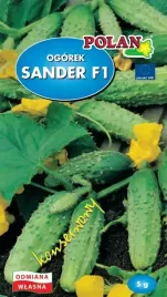 ogorek-konserwowy-sander-wczesny-bardzo-plenny-idealny-przetworstwa-5g