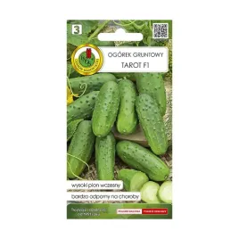 ogorek-gruntowy-tarot-f1-nasiona-pnos