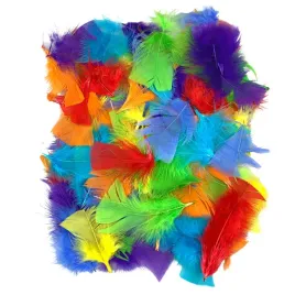 piorka-do-prac-kreatywnych-dekoracyjne-ozdobne-piora-kolorowe-exotic-60-szt