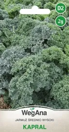 nasionakapusta-jarmuz-nasiona-2-g