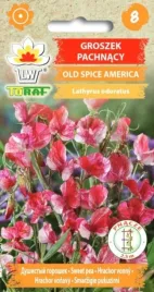 groszek-pachnacy-old-spice-america-nasiona-kwiatow-519-toraf