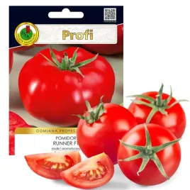pomidor-runner-slodki-aromatyczny-twardy-nasiona-bez-gmo