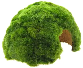 galezatka-na-lupinie-kokosa-grota-do-akwarium