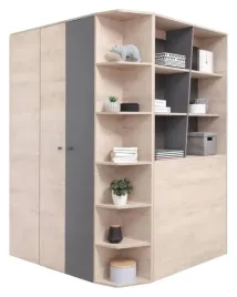 szafa-narozna-delta-dl1-dab-antracyt