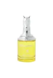 armaf-bucephalus-x-edp-100ml