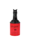 armaf-bucephalus-xi-edp-100ml