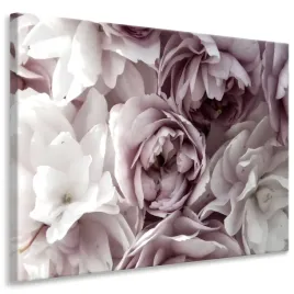 obraz-do-salonu-pastelowe-kwiaty-peonie-piwonie-natura-100x70