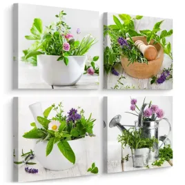 obrazy-do-kuchni-set-swieze-ziola-przyprawy-rosliny-natura-kwiaty-60x60