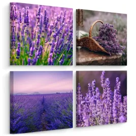 obrazy-do-kuchni-set-kwiaty-pola-lawendy-natura-rosliny-80x80