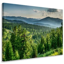 obraz-do-jadalni-krajobraz-las-natura-mgla-gory-efekt-3d-40x30