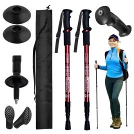 kije-nordic-walking-kijki-trekkingowe-do-chodzenia-regulowane-z