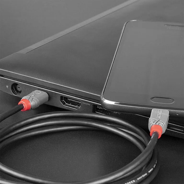 lindy-36893-kabel-usb-usb-2-0-3-m-usb-c-micro-usb-b-czarny