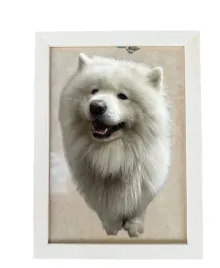 ramka-15x21-cm-na-zdjecia-2-2-zdjecie-rama-foto-drewniana-do-postawienia-a5