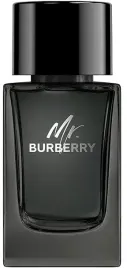 burberry-mr-burberry-edp-100ml