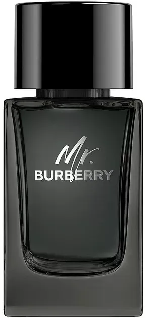 burberry-mr-burberry-edp-100ml