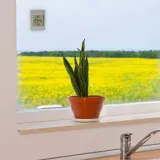 tfa-windoo-30-1067-15-digitales-fensterthermometer