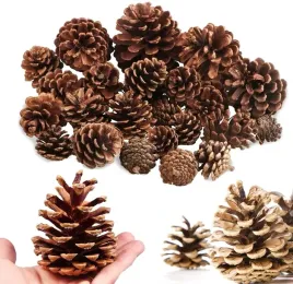 duzy-susz-choinke-stroik-na-dekoracyjne-sosnowe-naturalne-szyszki-szyszka