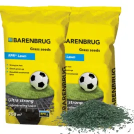 trawa-barenbrug-bar-power-rpr-playandsport-10kg-otoczkowana-sportowy-ogrod