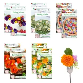 kwiaty-jadalne-bratek-stokrotka-nagietek-chaber-nasturcja