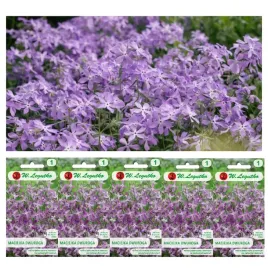 nasiona-maciejka-dwuroga-rozowolawendowa-5x5g