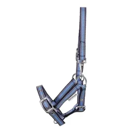 kantar-zrebiecy-1-miesiac-kavalkade-fohlen-niebieski-bialy-foal