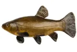 osmo-pro-method-feeder-dark-pellet-2mm-1kg-zaneta-plec-nie-dotyczy-kod-producenta-565132