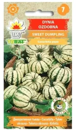 dynia-ozdobna-sweet-dumpling-2g-bialo-zielona-mala-jadalna-nasiona-toraf