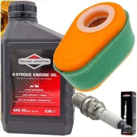 olej-filtr-powietrza-swieca-briggs-700-750-792038