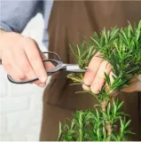 zestaw-narzedzi-do-bonsai-kod-producenta-narzedzia-bonsai-13-torba-shopsense