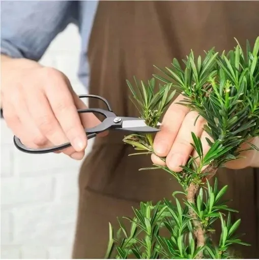 zestaw-narzedzi-do-bonsai