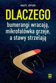 dlaczego-bumerangi-wracaja-mikrofalowka-grzeje