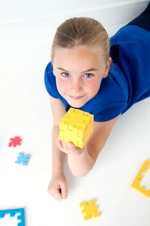 smartgames-happy-cube-pro-puzzle-3d