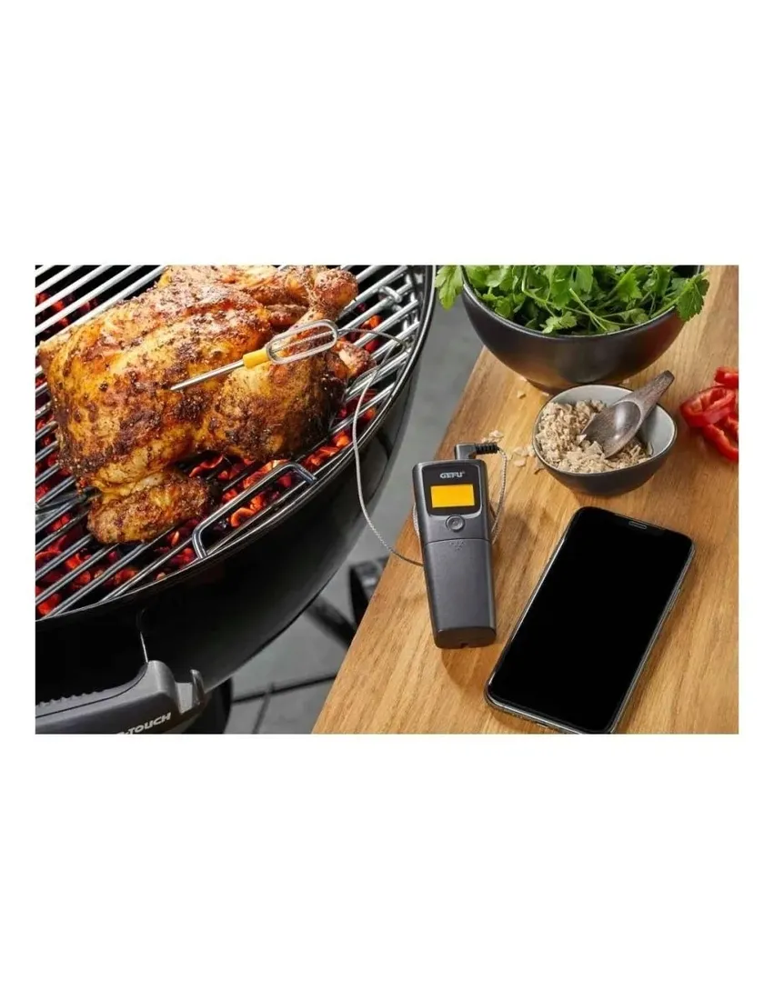 termometr-na-bluetooth-control-gefu