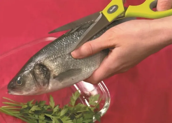 ibili-nozyce-kuchenne-kod-producenta-704904