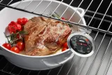 termometr-do-piekarnika-gefu-messimo-50-300c-93-cm-kod-producenta-g-21870