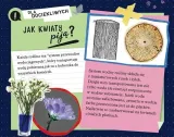 zestaw-fun-science-neon-glow-lights-rodzaj-podstawa