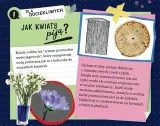 zestaw-fun-science-neon-glow-lights-stan-nowy-wiek-gracza-8-11-lat-12-14-lat-15-18-lat-18