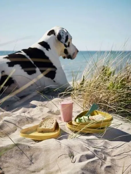 menazka-light-my-fire-lunchkit-bio-cocoa-wysokosc-6-cm