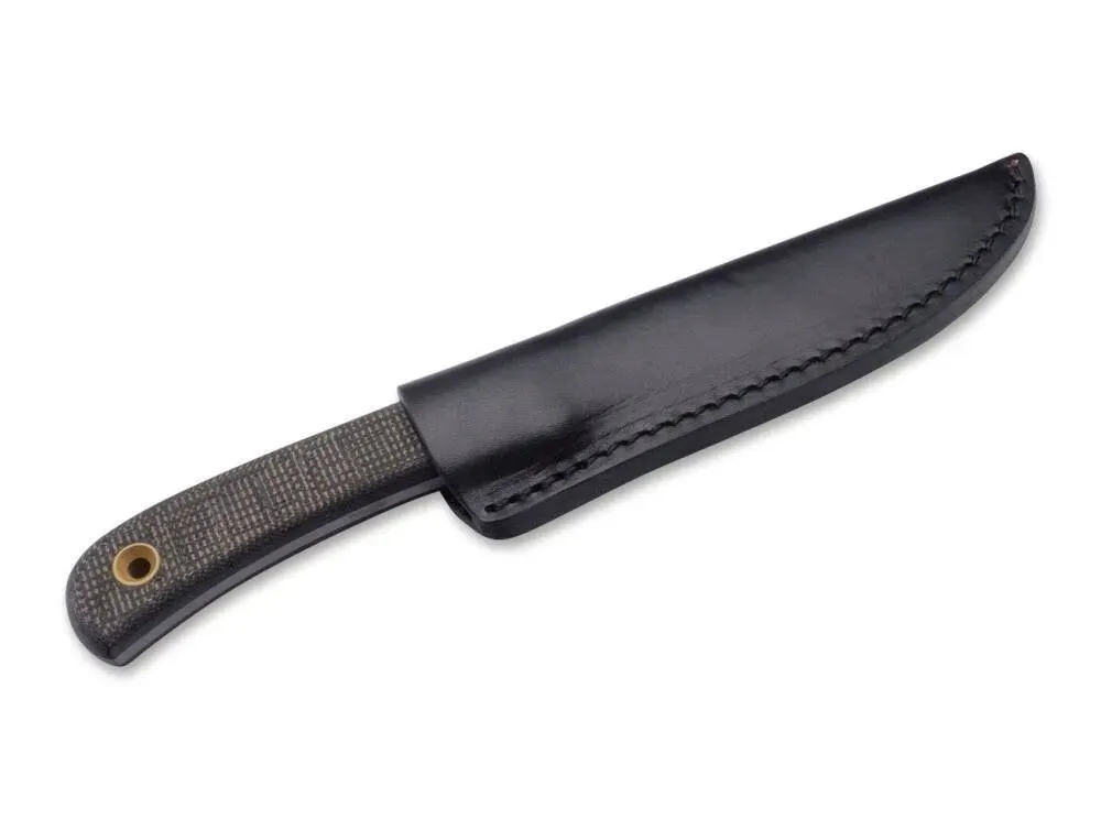noz-boker-plus-bark-beetle