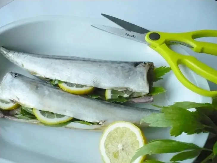 ibili-nozyce-kuchenne-stan-nowy-kod-producenta-704904