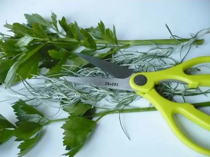 ibili-nozyce-kuchenne-stan-nowy-dlugosc-22-cm